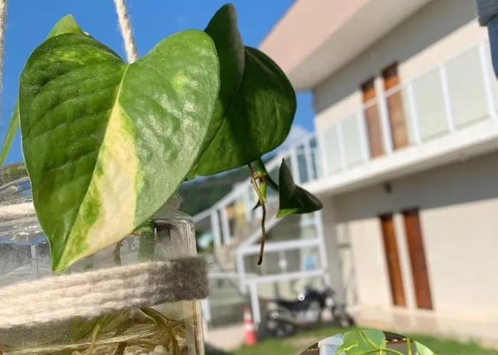 Pousada Recanto Som Do Mar Caraguatatuba